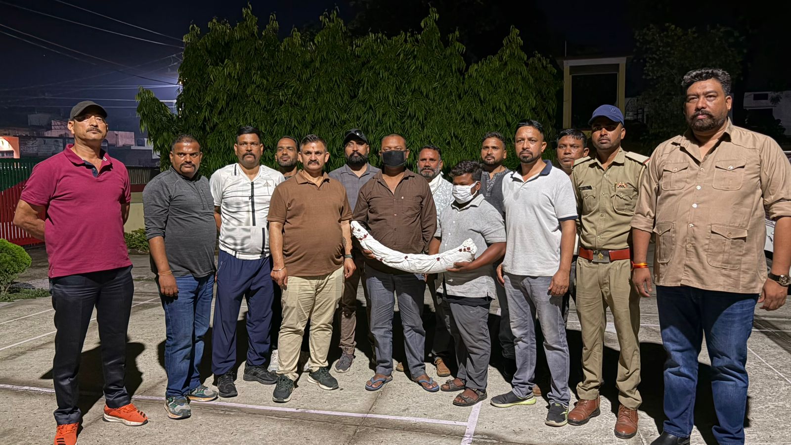 हाथी दांत तस्करी का पर्दाफाश: STF ने दो शातिर तस्करों को दबोचा, 1.5 करोड़ का माल बरामद*