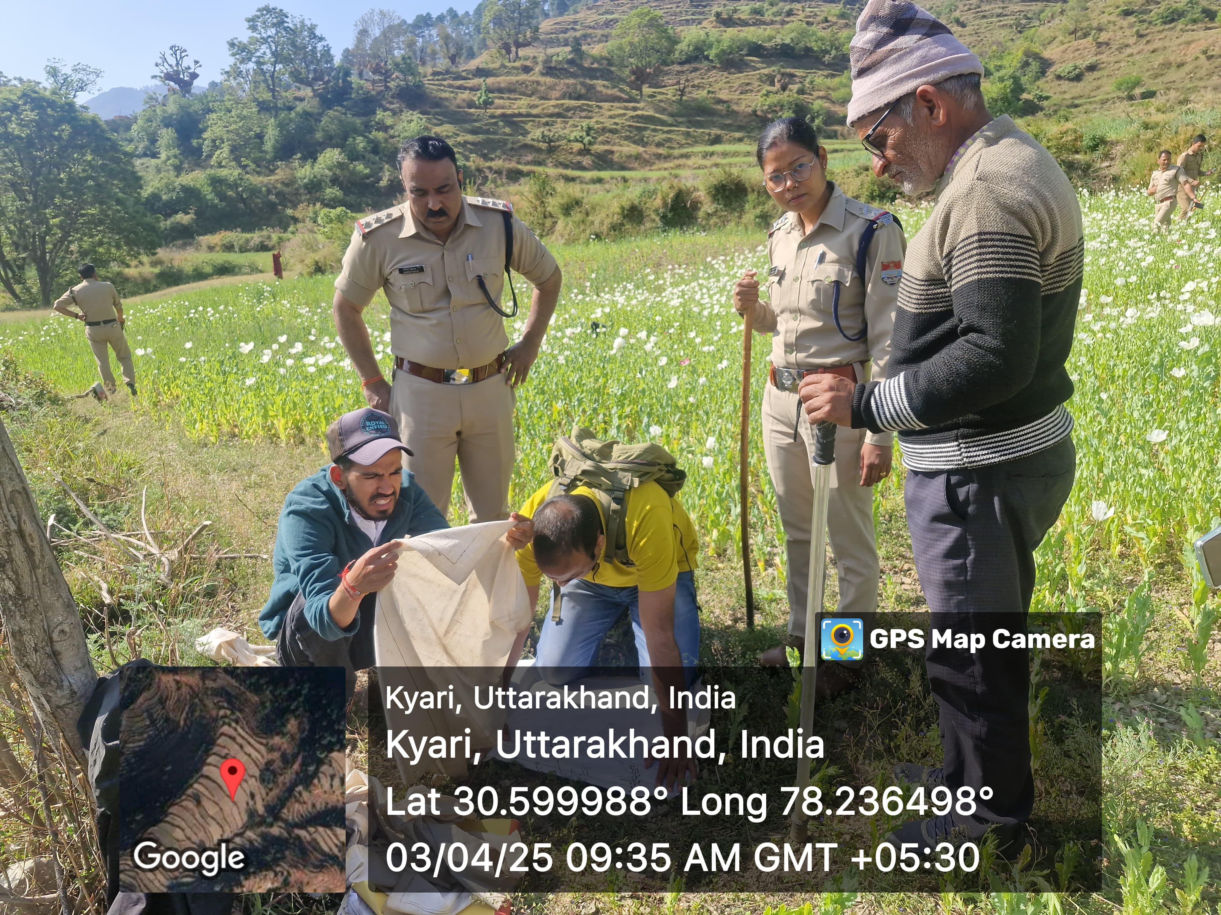 अवैध अफीम की खेती पर उत्तरकाशी पुलिस की कर्रावाई लगातार जारी