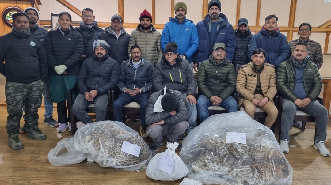 2 लेपोर्ड की खाल व भारी मात्रा में गुलदार की हड्डियों संग वन्यजीव तस्कर गिरफ्तार