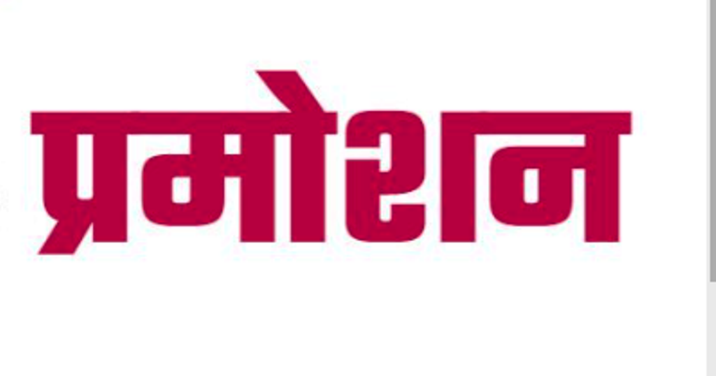 गणतंत्र दिवस पर पुलिसकर्मियों को बड़ी सौगात,46 अधिकारी बने गुल्मनायक