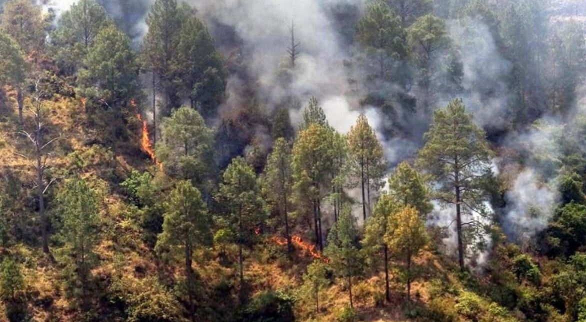 जंगल में लगी भीषण आग से धधकता उत्तराखंड