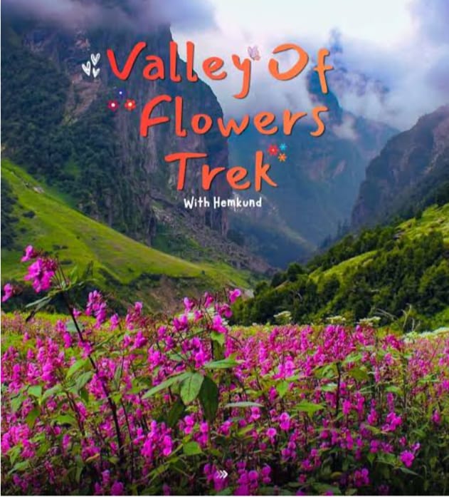 फूलों की घाटी के खुले द्वार, प्रकृति प्रेमियों के लिए शुरू हुआ रोमांचक सफर