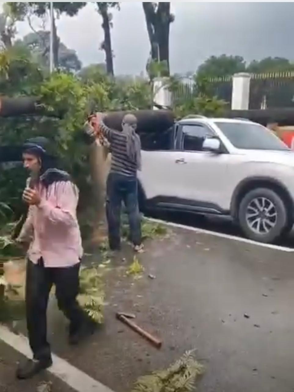 आईएमए के पास रोड पर गिरा पेड़, 02 गाड़िया आई चपेट में, जान का नुकसान नहीं 