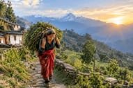 पहाड़ की महिला: जिसके कंधों पर सिर्फ घर नहीं, पूरा पहाड़ है*